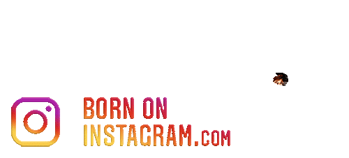 Siddhantt2410M Sticker by BORN ON INSTAGRAM