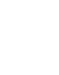 Senka number 8 eight senka Sticker