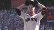 San Francisco Sigh GIF by Jomboy Media