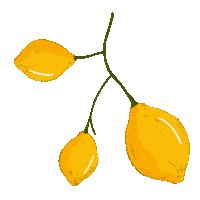 Summer Fruit Sticker