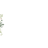 Illustration Flower Sticker