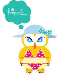 prepack wink owl wink face prepack Sticker