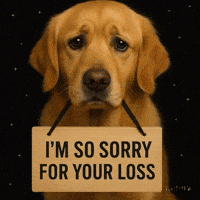Im So Sorry Golden Retriever GIF by Maryanne Chisholm - MCArtist