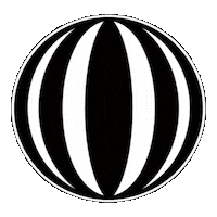 Guitar Sticker by ERNIE BALL