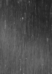 rainy day night GIF