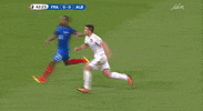 euro 2016 GIF by Sporza