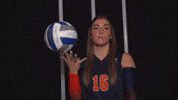 Cnvb GIF by Carson-Newman Athletics