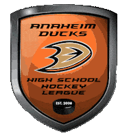 Anaheim Ducks Hockey Sticker by The Rinks