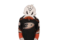 Ice Hockey Sticker by NHL