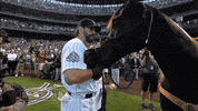 colorado rockies GIF by MLB