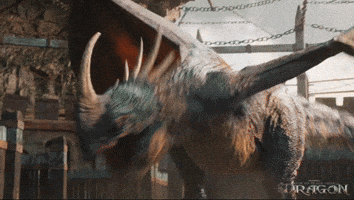 Fire Fantasy GIF by How To Train Your Dragon