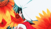 Sunflower Glance GIF