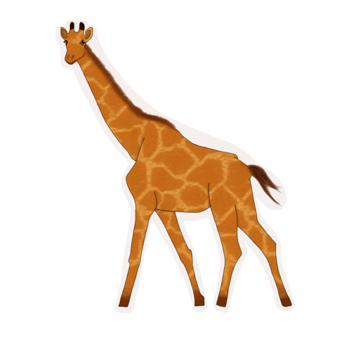 ahsanimates giphyupload instagram orange forest Sticker