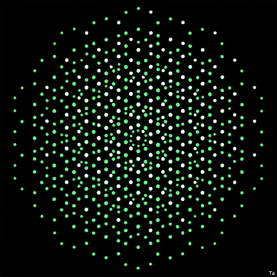 Pattern Dots GIF by Trevor Anderson