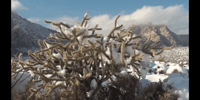 Las Vegas Snow GIF by DIIMSA Stock