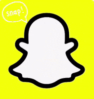 Snap Pic GIF