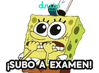 Car Aprobado Sticker by Dribo
