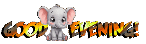 Panda Bear Fox Sticker