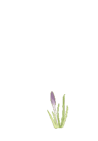 Illustration Flower Sticker by Louise Gouet