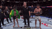 Mixed Martial Arts Sport GIF by UFC