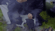 Bear Grylls GIF by National Geographic Channel