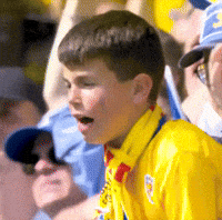 Euro Romania GIF