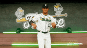 College Baseball Banks GIF by GreenWave