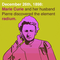 Animation Domination Fox GIF by gifnews