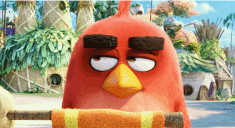 the angry birds movie anger GIF by Angry Birds