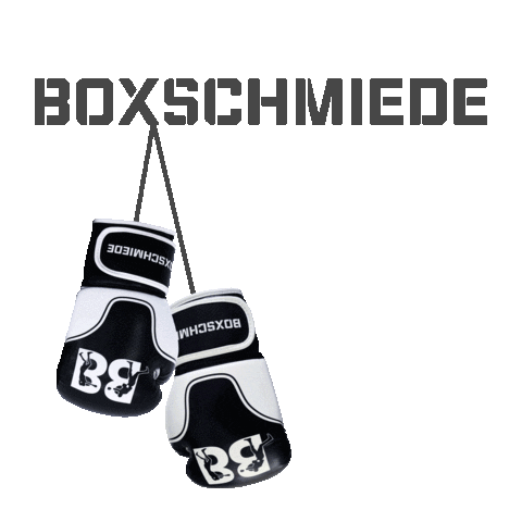 Sport Boxing Gloves Sticker by boxschmiede
