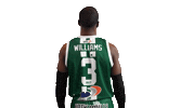 Basketball Hoops Sticker by Basket_fi