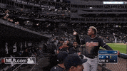 crowd points GIF by MLB