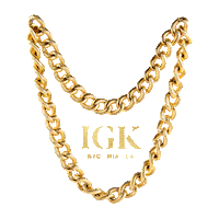 Gold Chain Sticker by IGK Hair