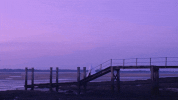 Juniore - Magnifique