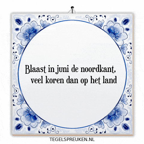 Humor Wind GIF by Tegelspreuken.nl