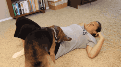dog GIF