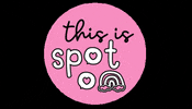 offbeatweb pink rainbow instagram circle GIF