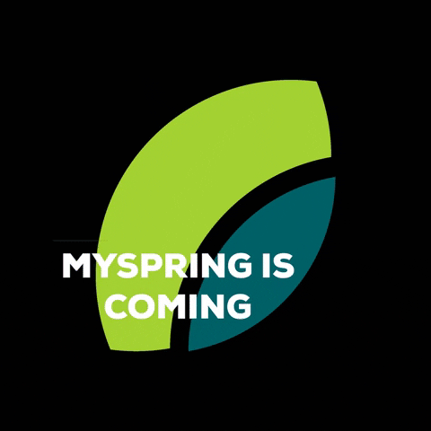 myspringintercambio giphygifmaker myspring myspring intercambio myspring is coming GIF