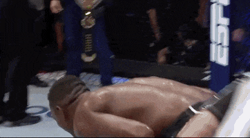 Sport Mma GIF by UFC