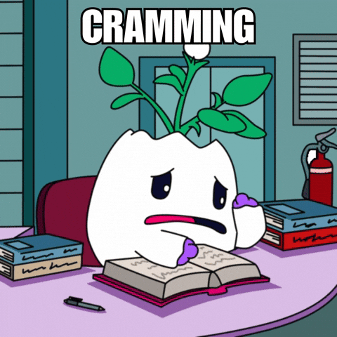 Nervous School GIF by Magic Eden