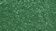 bbq sauce GIF by Williams Family Kitchen