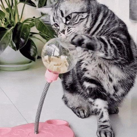 JollyOwls giphyupload GIF