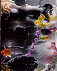 Bg Network GIF by Aleksey Efremov