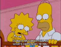 homer simpson GIF