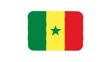 emojivid emoji flag emojivid senegal Sticker