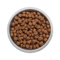 Dog Food Sticker by Muki