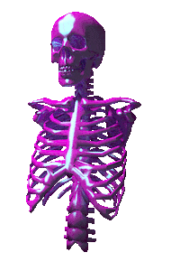 3D Skull GIF by badblueprints