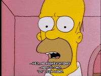 Season 1 GIF by The Simpsons