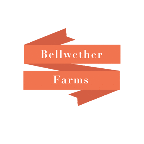 Logo Banner Sticker by bellwetherfarms