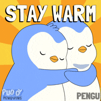 Freezing Take Care GIF by Pudgy Penguins